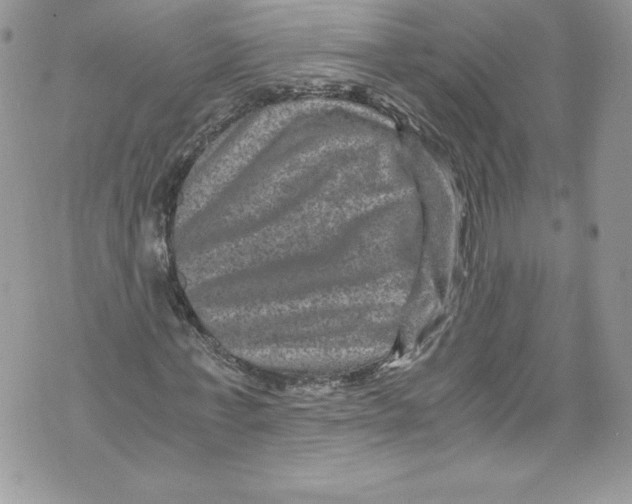 X0000071860771200607290156