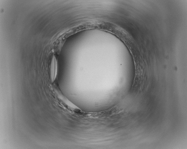 X0000071860773200607290156