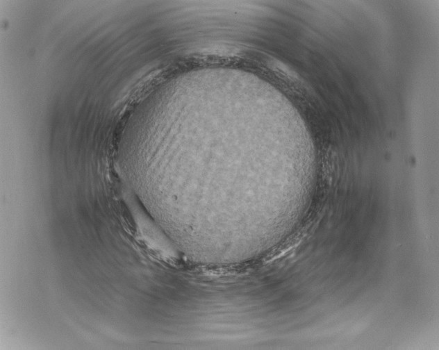 X0000071860774200607290156