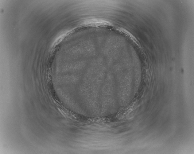 X0000071860775200607290156