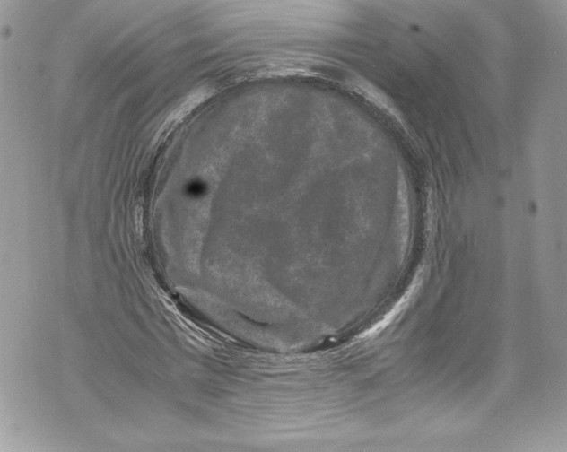 X0000071860777200607290156