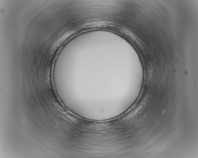 X0000071860778200607290156