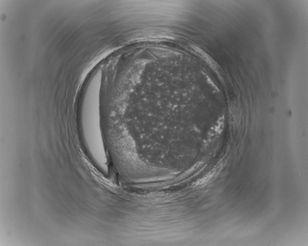 X0000071860779200607290156