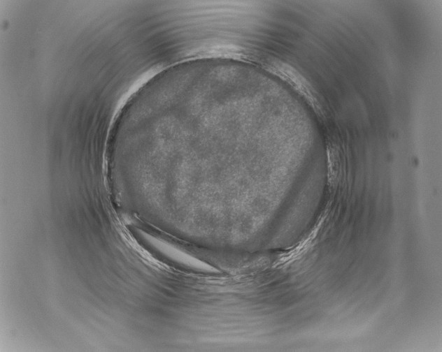 X0000071860780200607290156