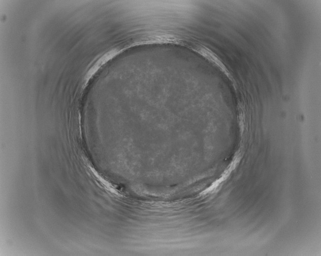 X0000071860781200607290156