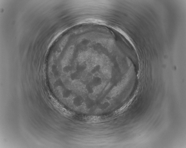 X0000071860783200607290156