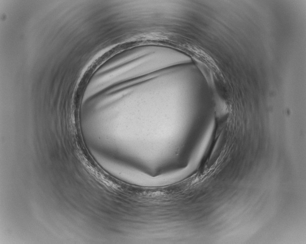 X0000071860784200607290156