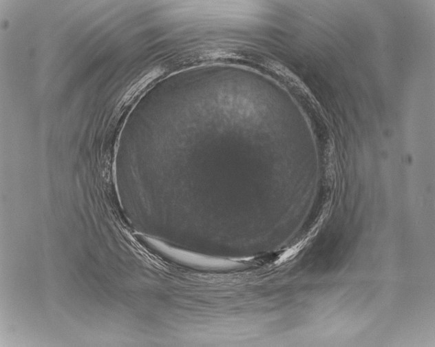 X0000071860785200607290156