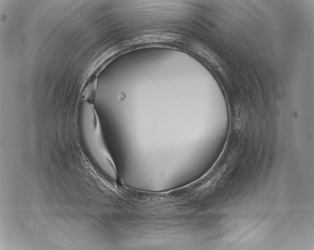 X0000071860786200607290156