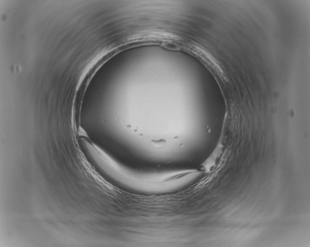 X0000071860788200607290156