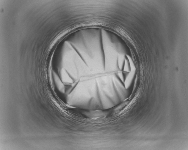 X0000071860789200607290156