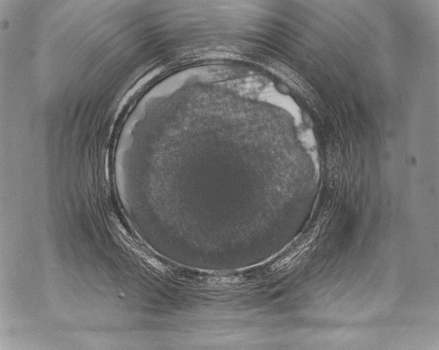 X0000071860790200607290156