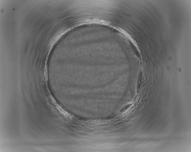 X0000071860791200607290156