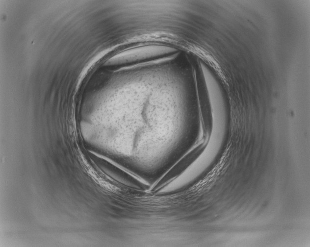 X0000071860792200607290156