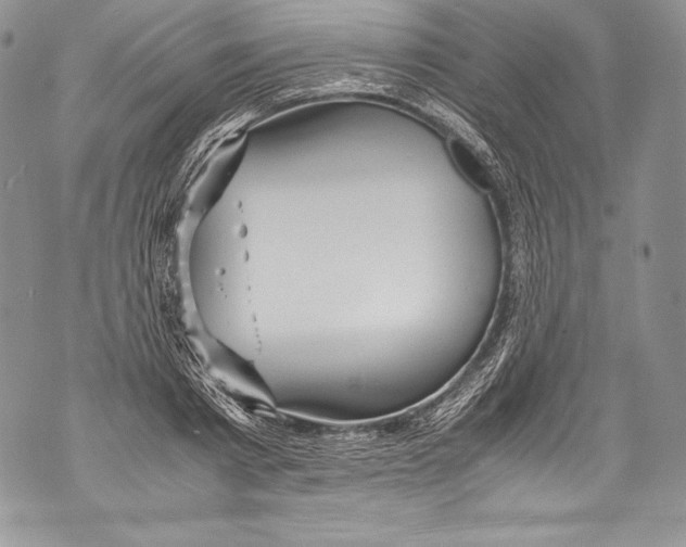 X0000071860793200607290156