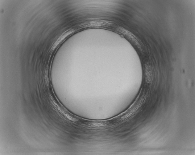 X0000071860794200607290156