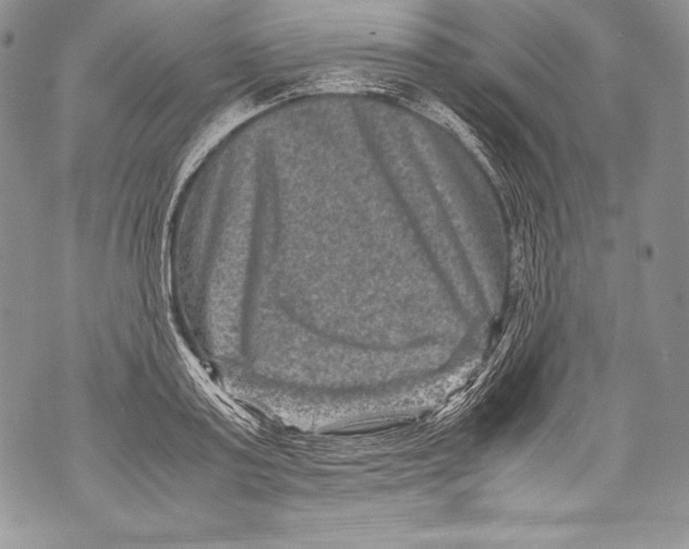 X0000071860795200607290156