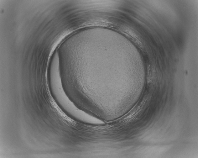 X0000071860796200607290156