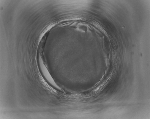 X0000071860797200607290156