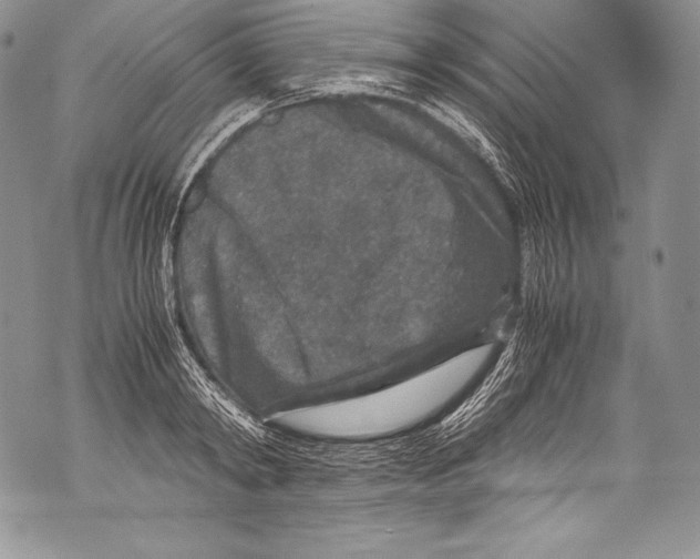 X0000071860798200607290156