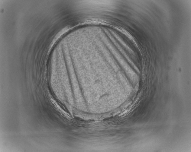 X0000071860799200607290156