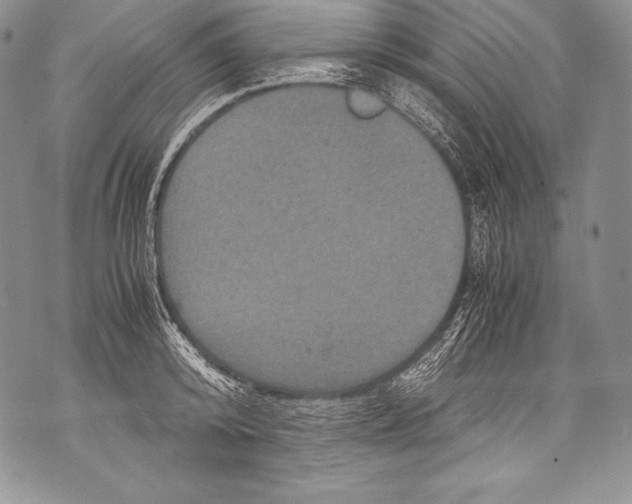 X0000071860800200607290156