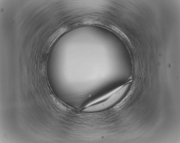 X0000071860801200607290156