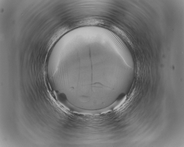 X0000071860802200607290156