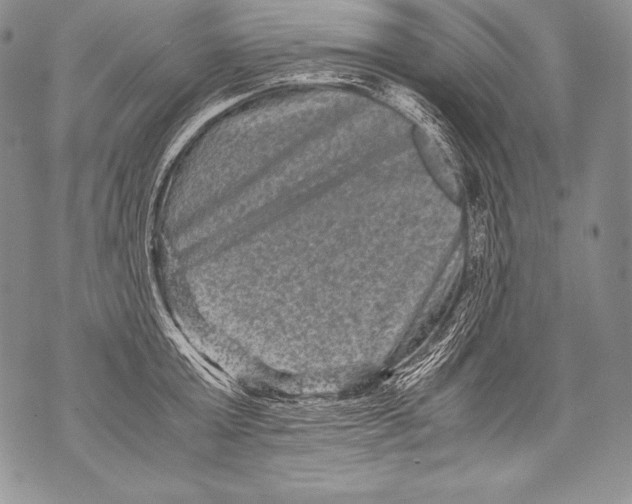 X0000071860803200607290156