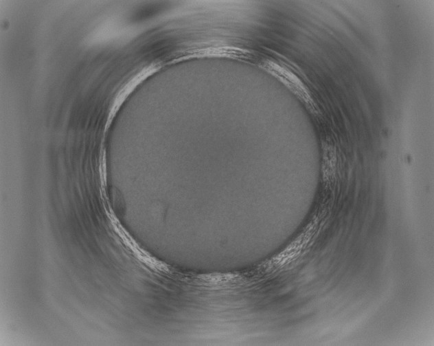 X0000071860804200607290156