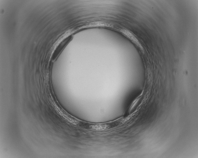 X0000071860805200607290156