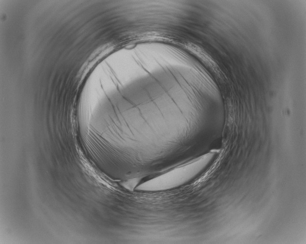 X0000071860806200607290156