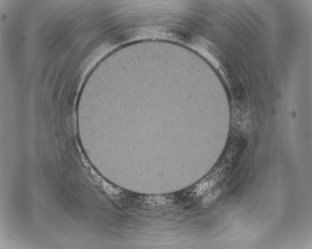 X0000071860807200607290156