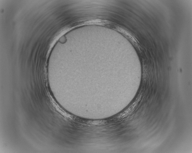 X0000071860808200607290156