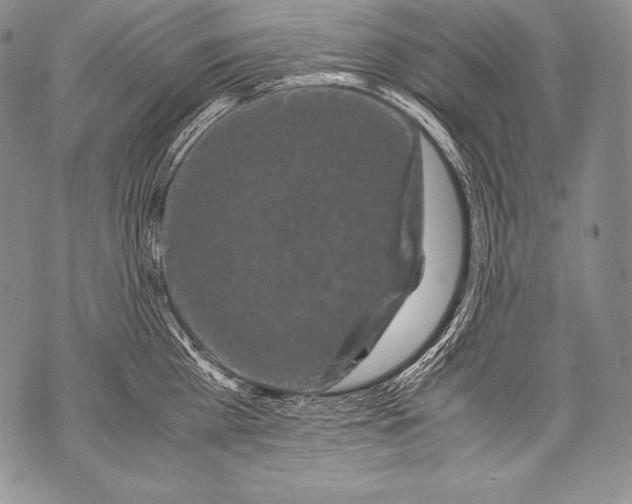 X0000071860809200607290156