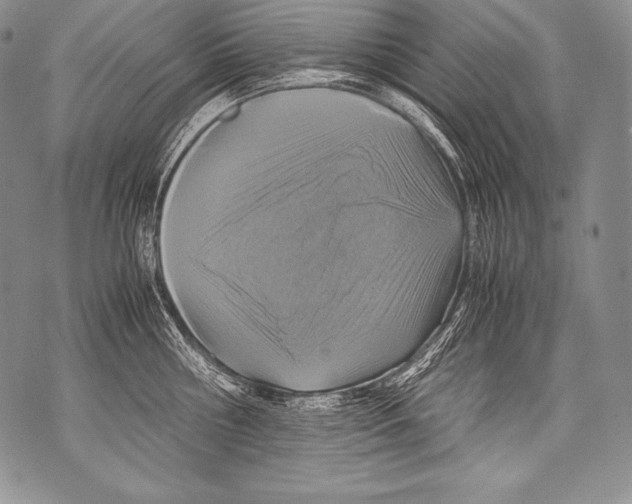 X0000071860810200607290156