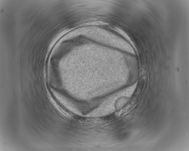 X0000071860811200607290156