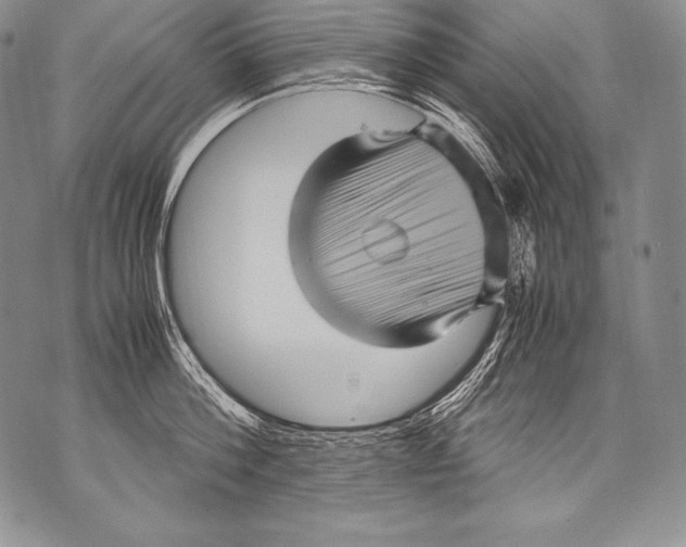 X0000071860812200607290156