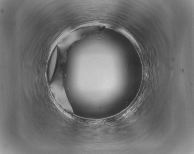 X0000071860813200607290156