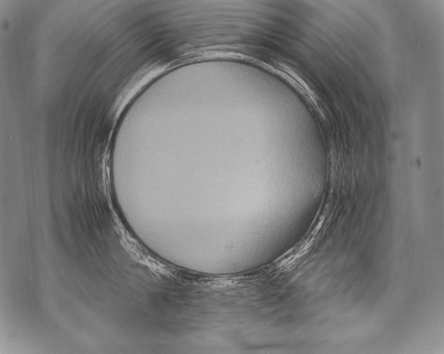 X0000071860814200607290156