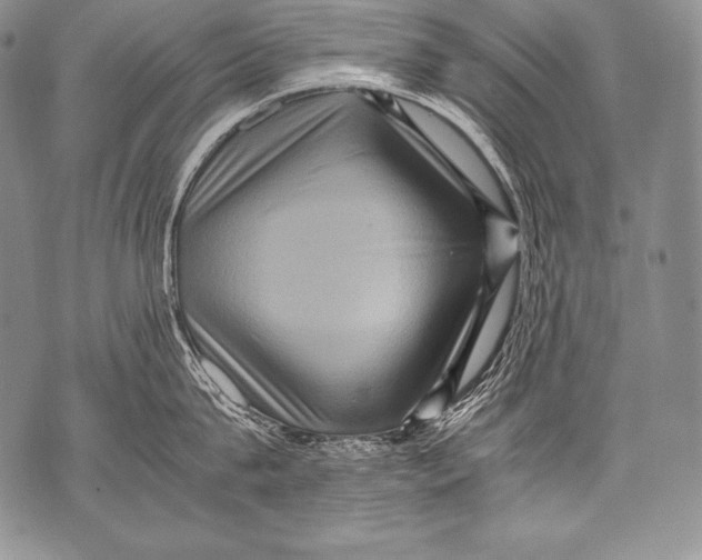 X0000071860815200607290156