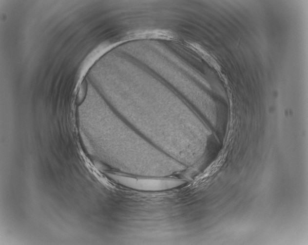 X0000071860816200607290156