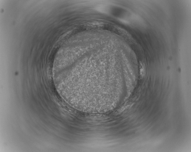 X0000071860819200607290155