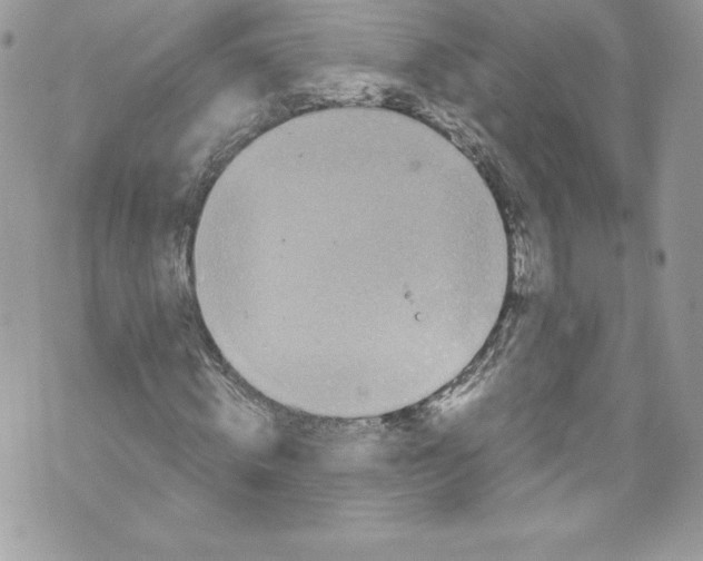 X0000071860820200607290155