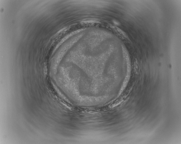 X0000071860821200607290155