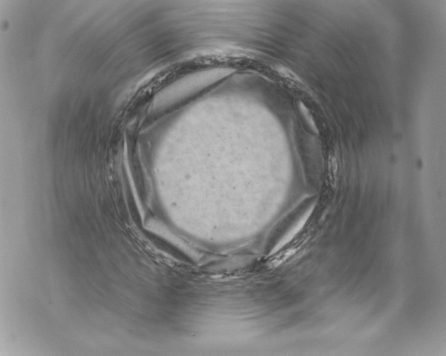 X0000071860822200607290155