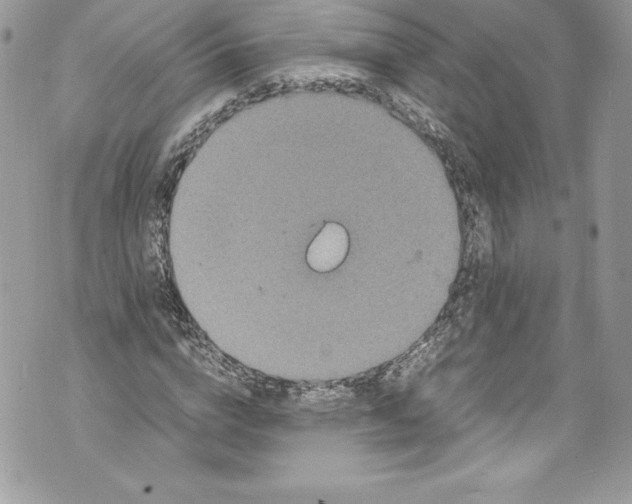 X0000071860824200607290155