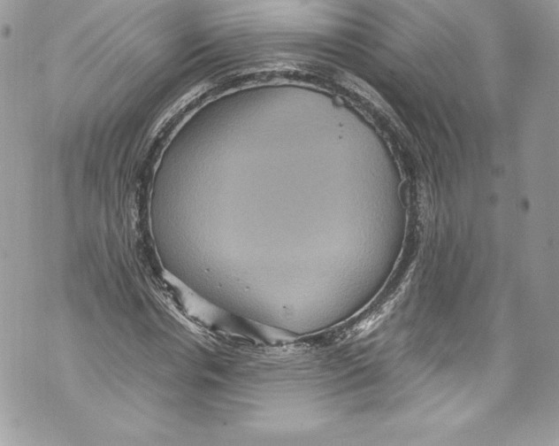 X0000071860826200607290155