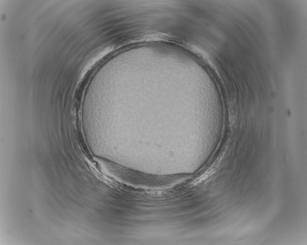 X0000071860827200607290155