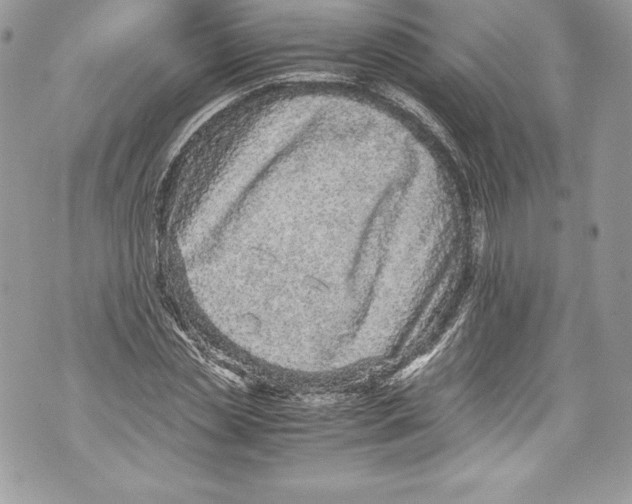 X0000071860829200607290155